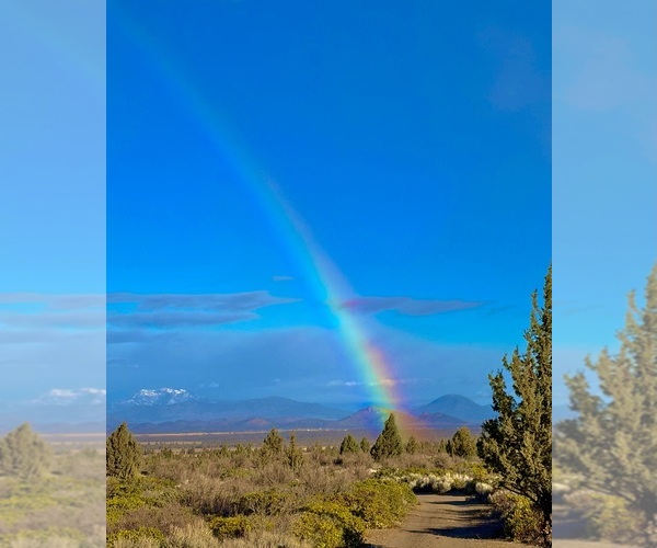 Medium Photo #10  Breeder Profile in HAMMOND RANCH, CA, USA