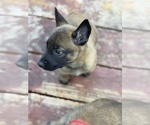 Small #5 Breeder Profile image