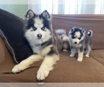 Small #41 Breeder Profile image