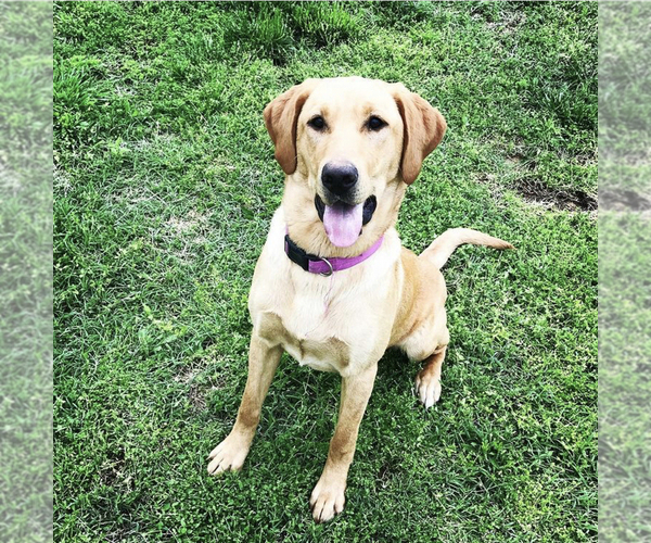 Medium Photo #1  Breeder Profile in ARMA, KS, USA