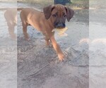 Small #16 Breeder Profile image