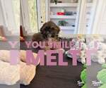 Small #21 Breeder Profile image