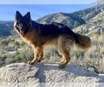 Small #11 Breeder Profile image