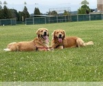Small #4 Breeder Profile image