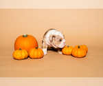 Small #4 Breeder Profile image