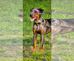 Small #5 Breeder Profile image