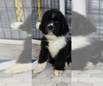 Small #59 Breeder Profile image