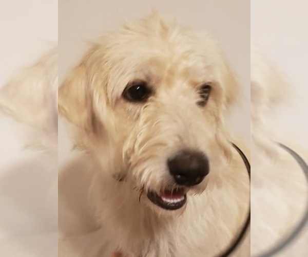 Medium Photo #1  Breeder Profile in ARIEL, MS, USA