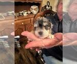 Small #3 Breeder Profile image
