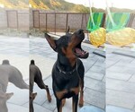 Small #17 Breeder Profile image