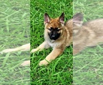 Small #29 Breeder Profile image