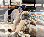 Small #16 Breeder Profile image
