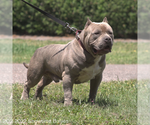 Small Photo #16  Breeder Profile in CLEARWATER, FL, USA