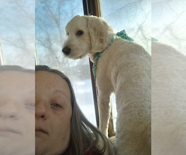 Medium Photo #1  Breeder Profile in BROOTEN, MN, USA