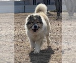 Small #114 Breeder Profile image