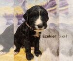 Small #1 Breeder Profile image