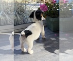 Small #4 Breeder Profile image