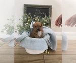 Small #16 Breeder Profile image