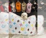 Small #25 Breeder Profile image