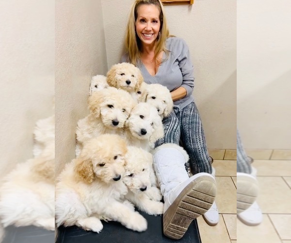 Medium Photo #1  Breeder Profile in GARDNERVILLE, NV, USA