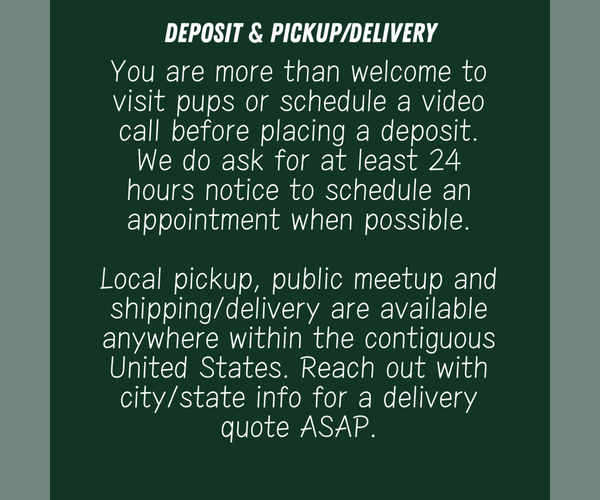 Medium Photo #5  Breeder Profile in GOSHEN, IN, USA