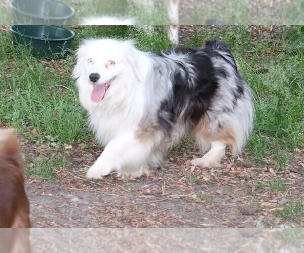 Medium Photo #2  Breeder Profile in CARVER, MN, USA