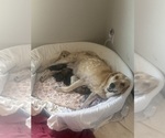 Small #47 Breeder Profile image