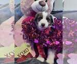 Small #28 Breeder Profile image