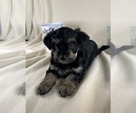 Small #22 Breeder Profile image