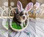 Small #6 Breeder Profile image