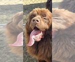 Small #65 Breeder Profile image