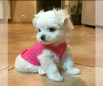 Small #6 Breeder Profile image