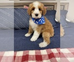 Small Photo #7  Breeder Profile in RICHMOND, IL, USA