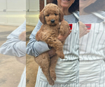 Small breeder photo
