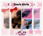 Small #1 Breeder Profile image