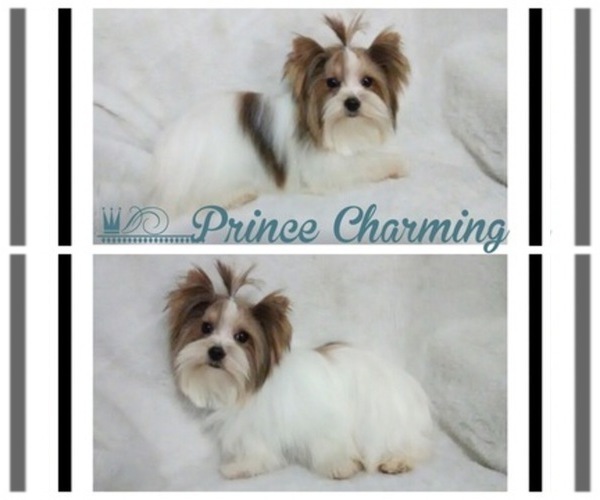 Medium Photo #1  Breeder Profile in ALPINE, UT, USA