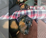 Small #1 Breeder Profile image