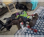 Small #1 Breeder Profile image