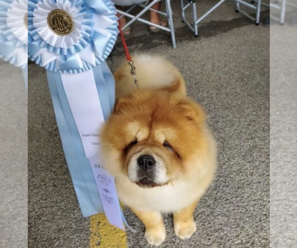 Medium Photo #5  Breeder Profile in PEABODY, KS, USA