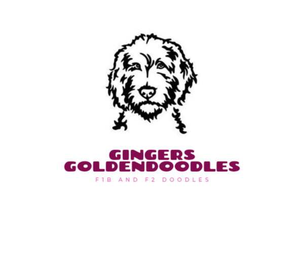 Medium Photo #1  Breeder Profile in N HIGHLANDS, CA, USA