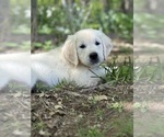 Small #16 Breeder Profile image