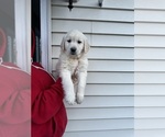 Small #4 Breeder Profile image