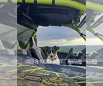 Small #1 Breeder Profile image