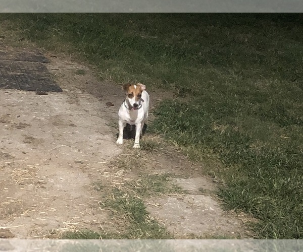 Medium Photo #4  Breeder Profile in MABLETON, GA, USA