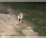 Small #3 Breeder Profile image