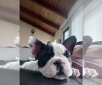 Small #9 Breeder Profile image