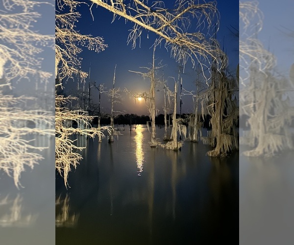 Medium Photo #1  Breeder Profile in GRANITEVILLE, SC, USA