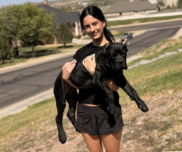 Medium Photo #6  Breeder Profile in AMARILLO, TX, USA