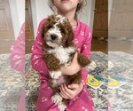 Small #5 Breeder Profile image