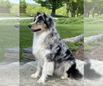 Small breeder photo